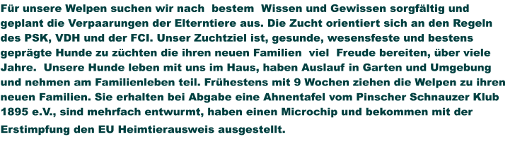 Für unsere Welpen suchen wir nach  bestem  Wissen und Gewissen sorgfältig und geplant die Verpaarungen der Elterntiere aus. Die Zucht orientiert sich an den Regeln des PSK, VDH und der FCI. Unser Zuchtziel ist, gesunde, wesensfeste und bestens geprägte Hunde zu züchten die ihren neuen Familien  viel  Freude bereiten, über viele Jahre.  Unsere Hunde leben mit uns im Haus, haben Auslauf in Garten und Umgebung und nehmen am Familienleben teil. Frühestens mit 9 Wochen ziehen die Welpen zu ihren neuen Familien. Sie erhalten bei Abgabe eine Ahnentafel vom Pinscher Schnauzer Klub 1895 e.V., sind mehrfach entwurmt, haben einen Microchip und bekommen mit der Erstimpfung den EU Heimtierausweis ausgestellt.