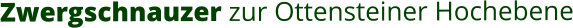 Zwergschnauzer zur Ottensteiner Hochebene