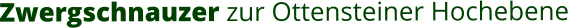 Zwergschnauzer zur Ottensteiner Hochebene