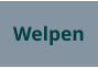 Welpen