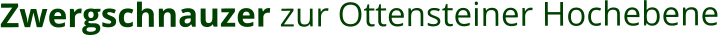 Zwergschnauzer zur Ottensteiner Hochebene