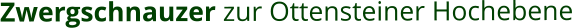 Zwergschnauzer zur Ottensteiner Hochebene