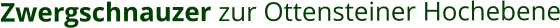Zwergschnauzer zur Ottensteiner Hochebene